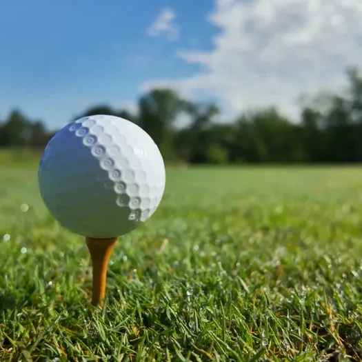 Golf ball on Tee Lochmere Golf